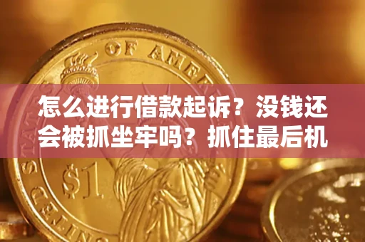 北京怎么进行借款起诉？没钱还会被抓坐牢吗？抓住最后机会！