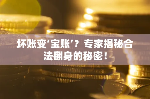 北京坏账变‘宝账’？专家揭秘合法翻身的秘密！