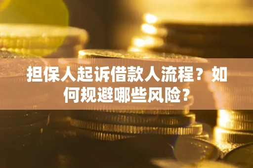北京担保人起诉借款人流程？如何规避哪些风险？