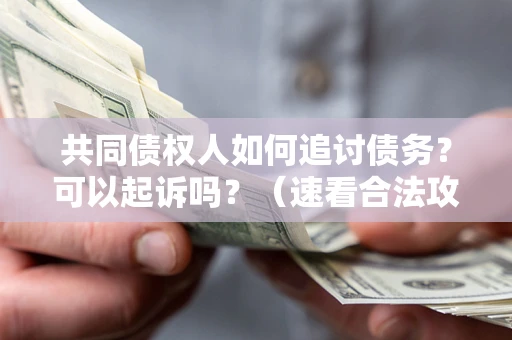 北京共同债权人如何追讨债务？可以起诉吗？（速看合法攻略）