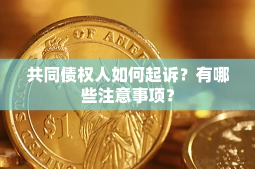 北京共同债权人如何起诉？有哪些注意事项？